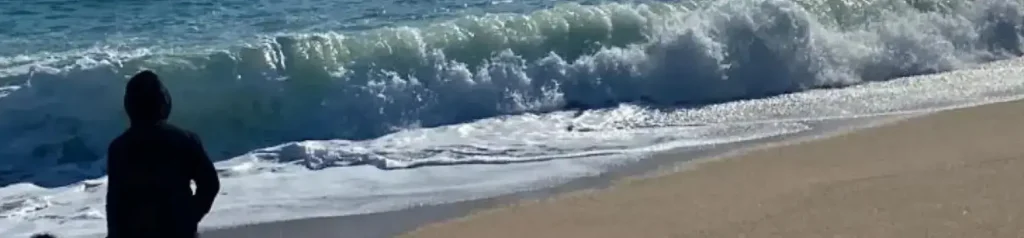Romuald Fons Silueta Contemplando el Mar Silueta de persona con capucha en la playa mirando las olas romper en la orilla.